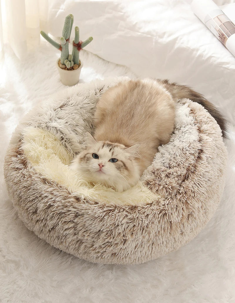 Katzen-Kuschelhöhle