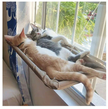 Katzen Fensterbett